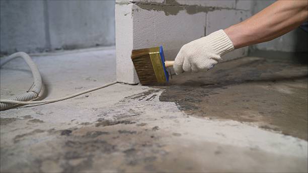 24/7 Emergency Wet Basement Repair experts in Madison Heights, MI